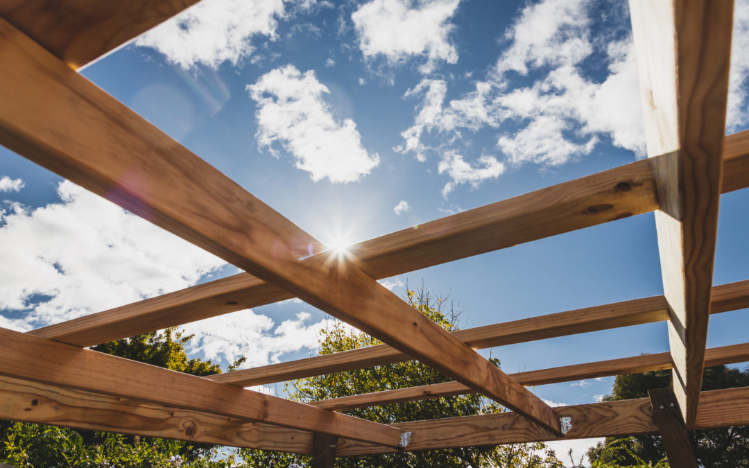 The Best Pergola Roof Cover Ideas for Texas Weather